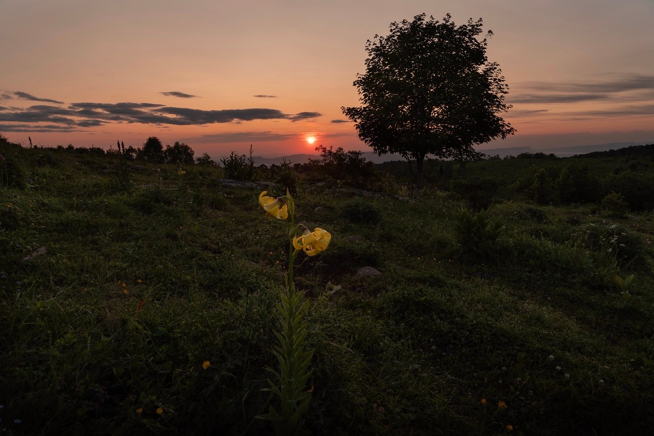 e���� pacc�e� � �opa� a��a�a. �occ��, pec������a ����e�, pac�o�apc��� �pa�, �p�po���� �ap� �o���o� ... - 3