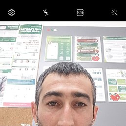  , , 41  -  22  2025