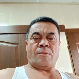 ���� �����, �����-���������, 49 ��� - ��������� 2 ���� 2026