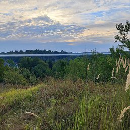 �������, �����, 62 ����