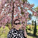 ���� C���� ��������, ������� - ��������� 30 ������ 2025 � ������ ���� ����������