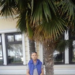 ���� �������, ������, 44 ���� - ��������� 20 ������ 2024