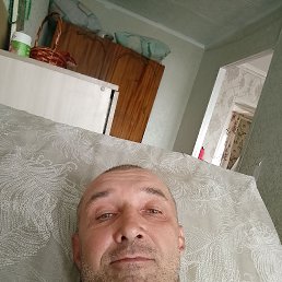 ������, 44 ����, ���
