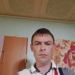 , 41, 