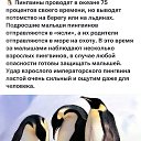 ���� ������� �������, �����, 26 ��� - ��������� 8 ����� 2026