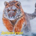 ���� ���������, ������, 45 ��� - ��������� 13 ������ 2023 � ������ ���� ����������