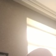 , 53 , 