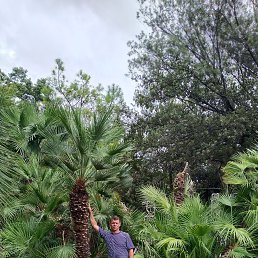 ����, 44 ����, ���������