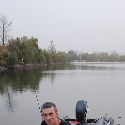 , 41, 