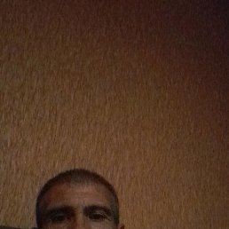 ����, 49 ���, ������