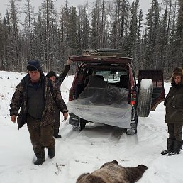 ���������, ������, 50 ���