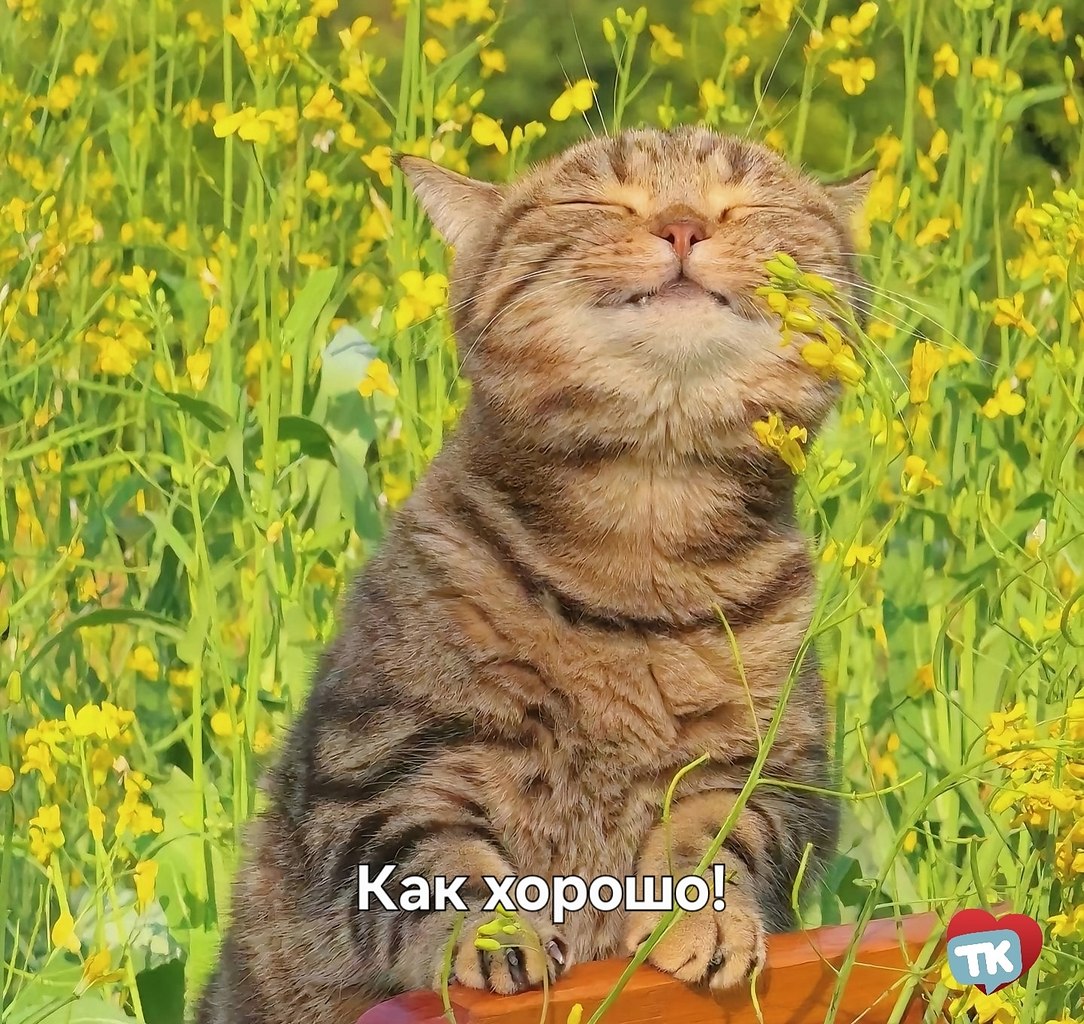  +25   .        ...