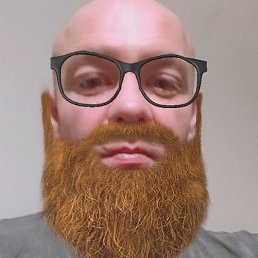 �����, ������, 44 ����