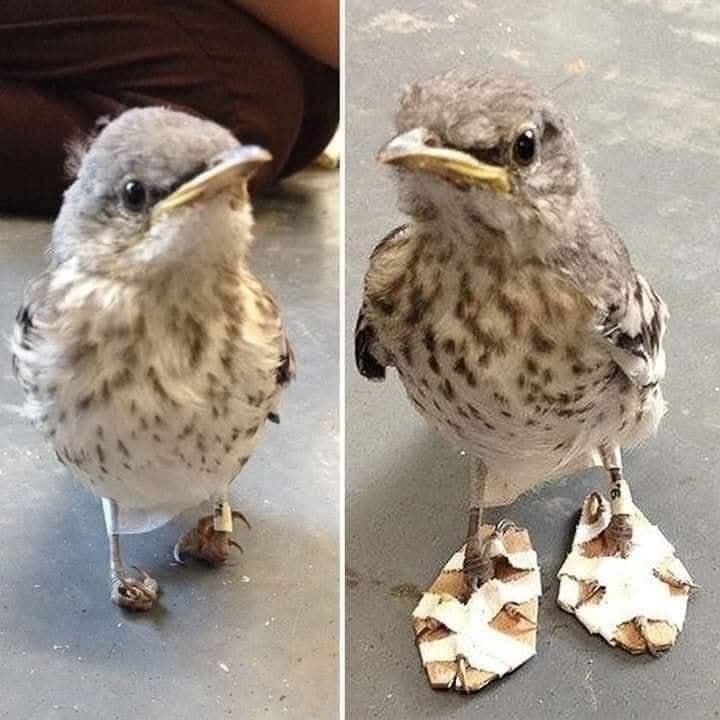 :) ���������.���������� ������� ���� ��������� ������ � ���������������� ������� ����������� ����� ...