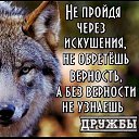 ���� ������, ������, 39 ��� - ��������� 25 ������� 2026 � ������ ���� ����������