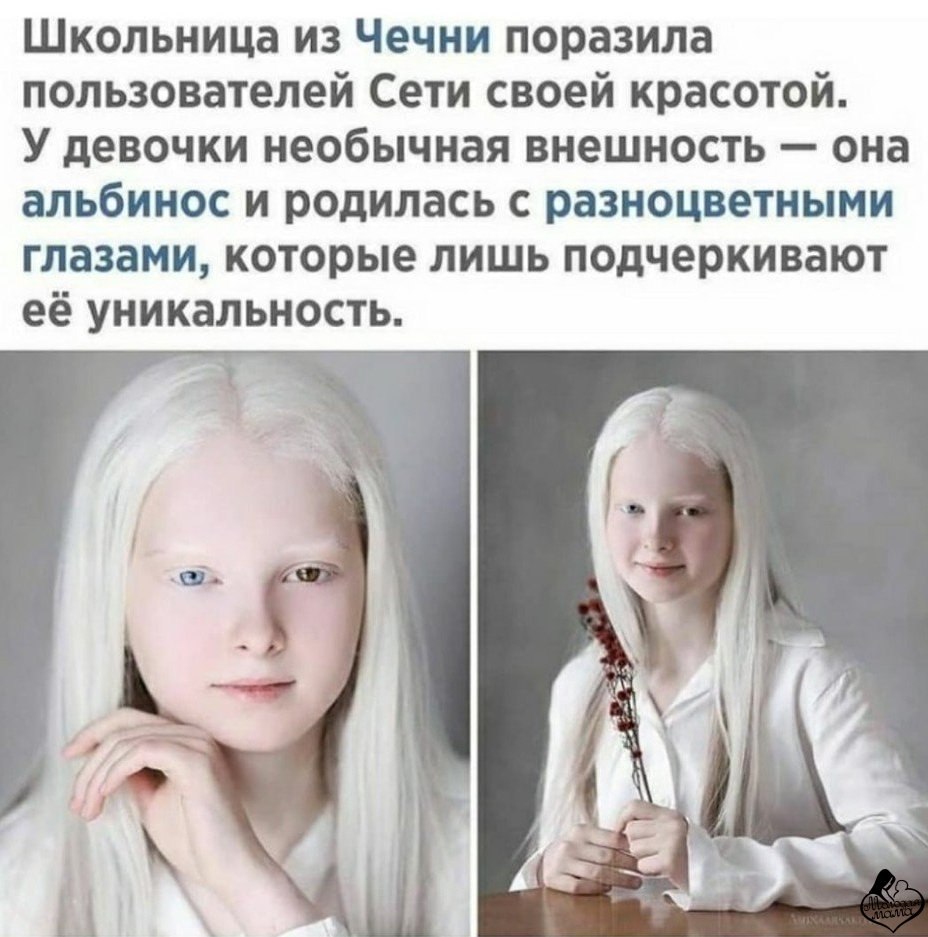 ����� ���������� �������