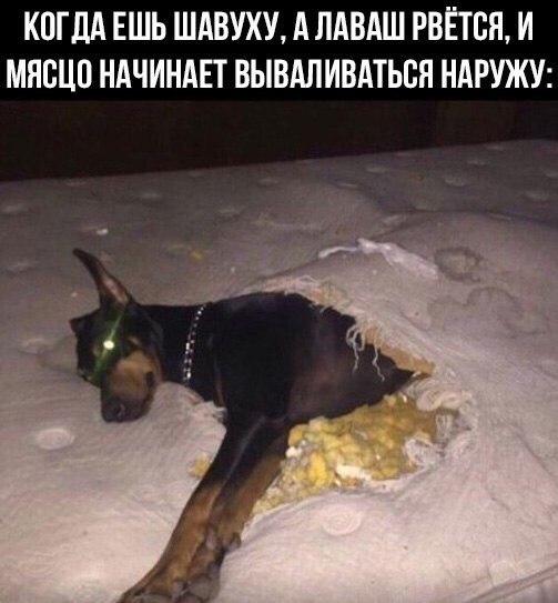    - 13  2023  14:23