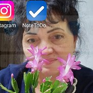 ��������, 64 ����, ���������