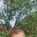 ���� ������, ���������, 41 ��� - ��������� 17 ���� 2025 � ������ ���� ����������