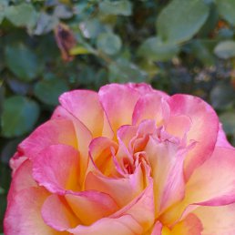 ���� �������, ���������, 46 ��� - ��������� 11 ������ 2023