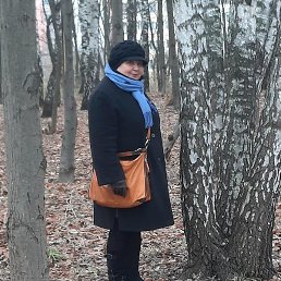 �������, ����, 65 ���