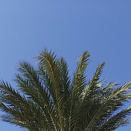 Sandra, , 44 