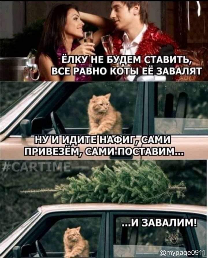   - 5  2023  13:01
