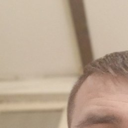 �������, ������, 38 ���