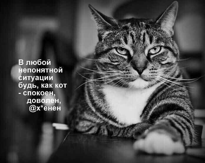 ***Victoria Viktorovna*** - 15  2023  04:13