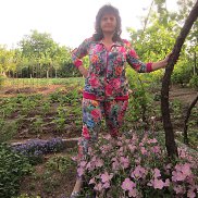 Алиса, , Красноярск Алиса, , Красноярск