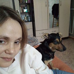 , 37 , 