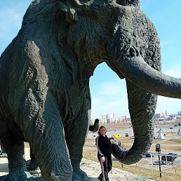 , 41, 