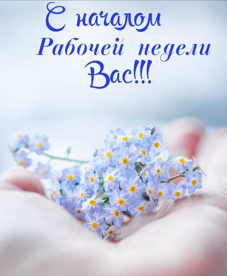 ����������� � ���������, �������� �� ������ ����. - 12 ������ 2026 � 23:30 - 2