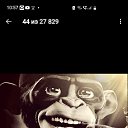 ���� ������, �����������, 64 ���� - ��������� 17 ������� 2026