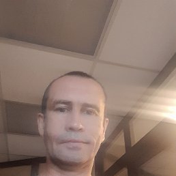 , 53 , 