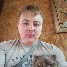 , 40, 