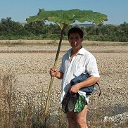 ������, 60 ���, ������