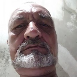 , 59, 