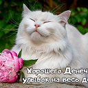 ���� �����, ����������, 54 ���� - ��������� 16 ������ 2026