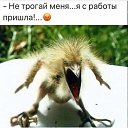 ���� ����, ������ - ��������� 5 ��� 2026 � ������ ���� ����������