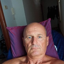 , 61, 