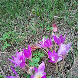 ���� �����, �����, 46 ��� - ��������� 7 ������ 2023