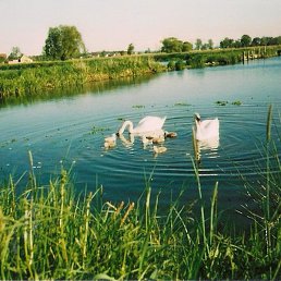 Marina, ��������, 58 ���