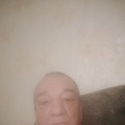 ����������, ���������, 51 ���