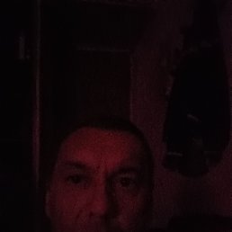, 49, 