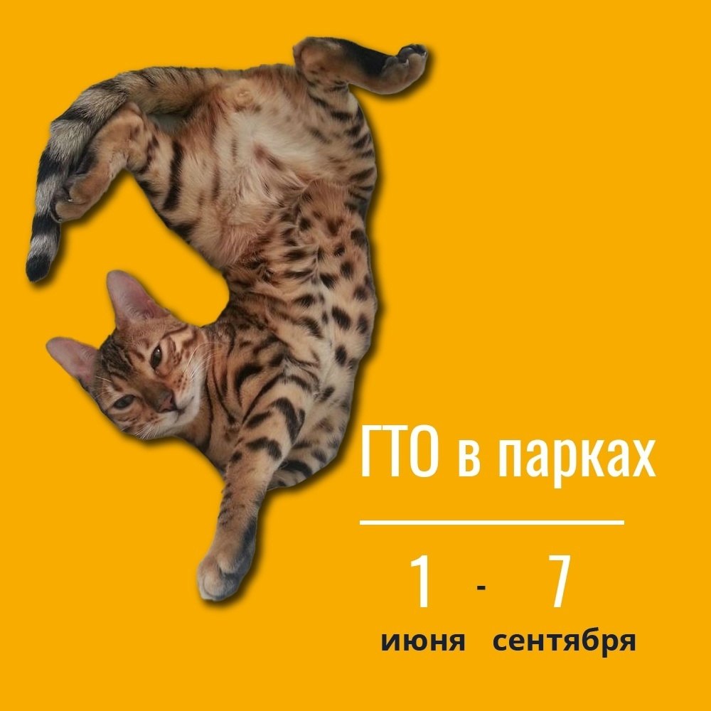     .          ... - 6
