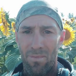 ������ ���������, ������, 44 ����