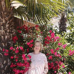 ���������, �������, 61 ���