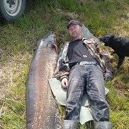 ���������, 48 ���, ��������