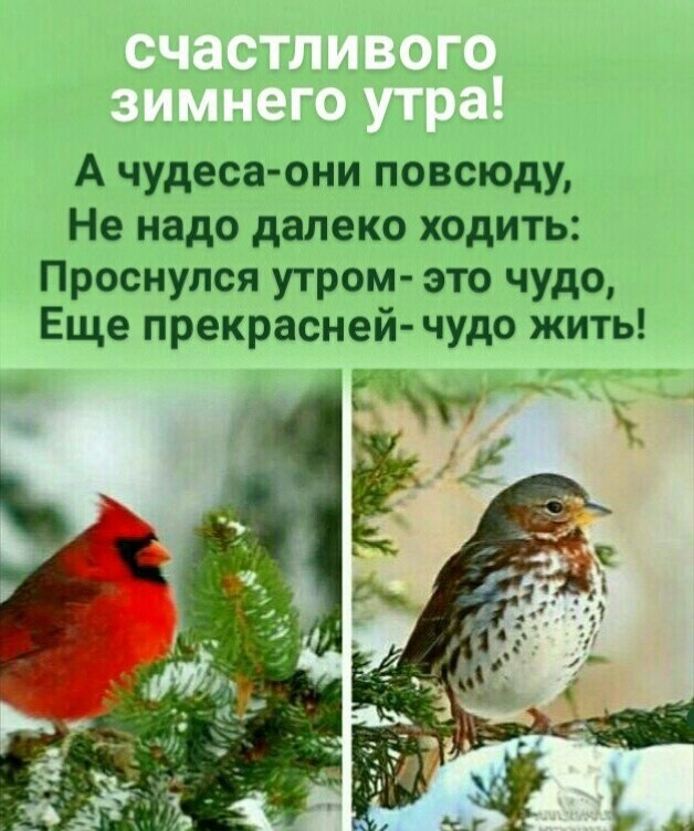   ,    . - 3  2025  00:39